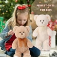 thumbnail image 7 of Tezituor 2 Pack Teddy Bear Stuffed Animal 18" Stuffed Teddy Bear Plush Toy, 7 of 7