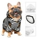 thumbnail image 3 of Balery Haloween Pumpkins Sudadera con Capucha para Perros Pequeños – Ropa para Mascotas, Disfraz para Perros y Gatos, Ideal para Fiestas y Cosplay-X-Small, 3 of 7