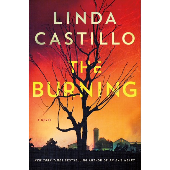 Pre-Owned The Burning (Hardcover) 1250781116 9781250781116