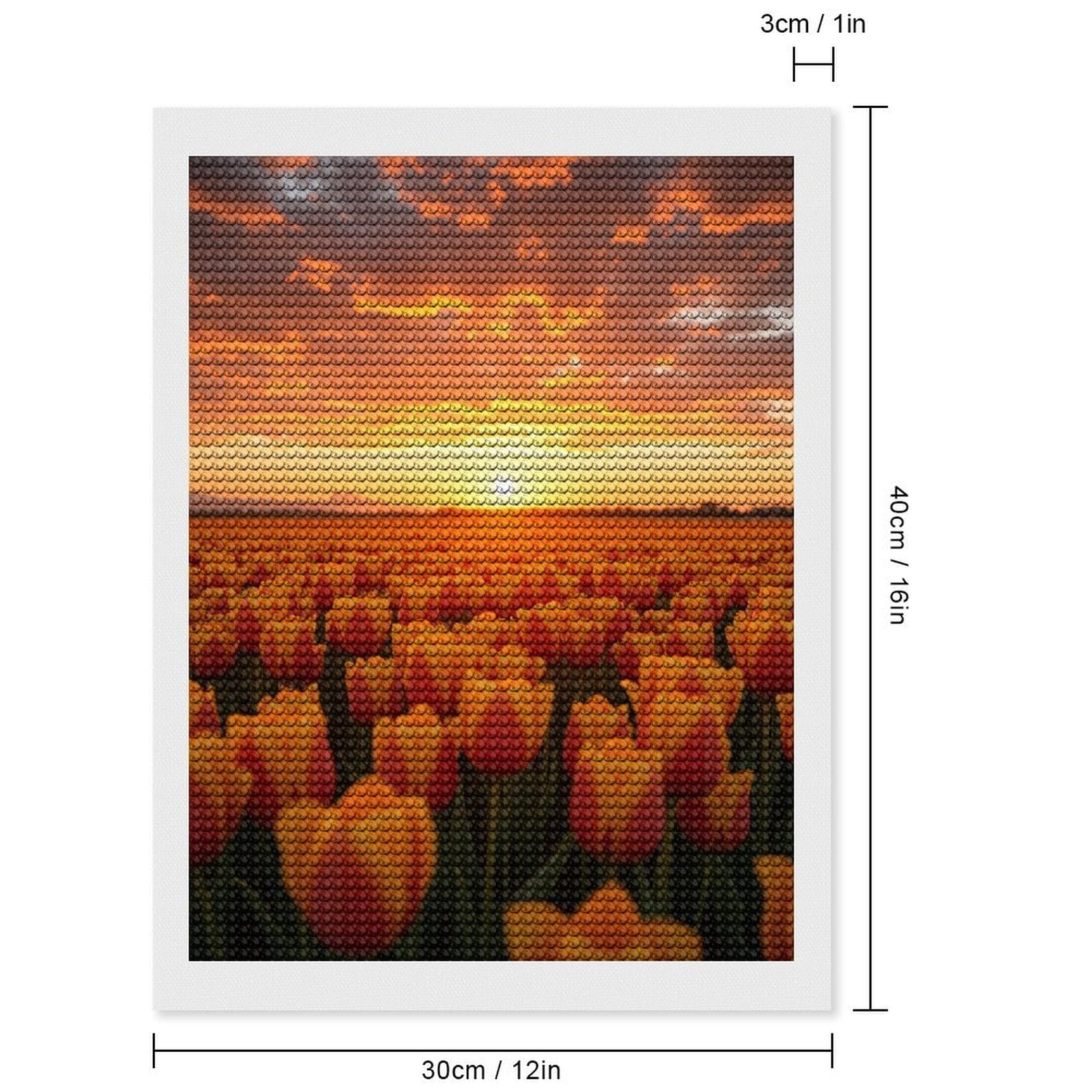 Diamond Art Kits for Adults, Sunset Tulip Field Glow 5D Diamond Painting Kits for Adults Beginners, DIY Full Drill Diamond Painting, Gem Art and Crafts 12x16