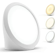 Light Therapy Lamp