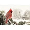 thumbnail image 2 of Deiter, Lori 14x11 White Modern Wood Framed Museum Art Print Titled - Winter Perch, 2 of 4