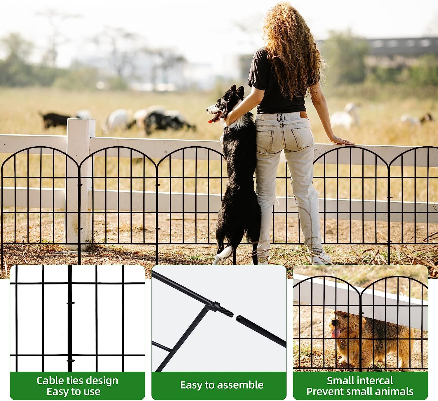 QCQHDU Decorative Metal Garden Fence, Rustproof, 10 Pack, 10ft Long Animal Barrier Fence