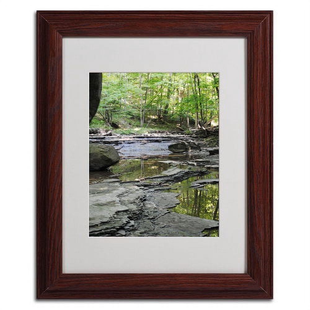 Trademark Fine Art "Crystal Rock" by Monica Fleet, Wood Frame