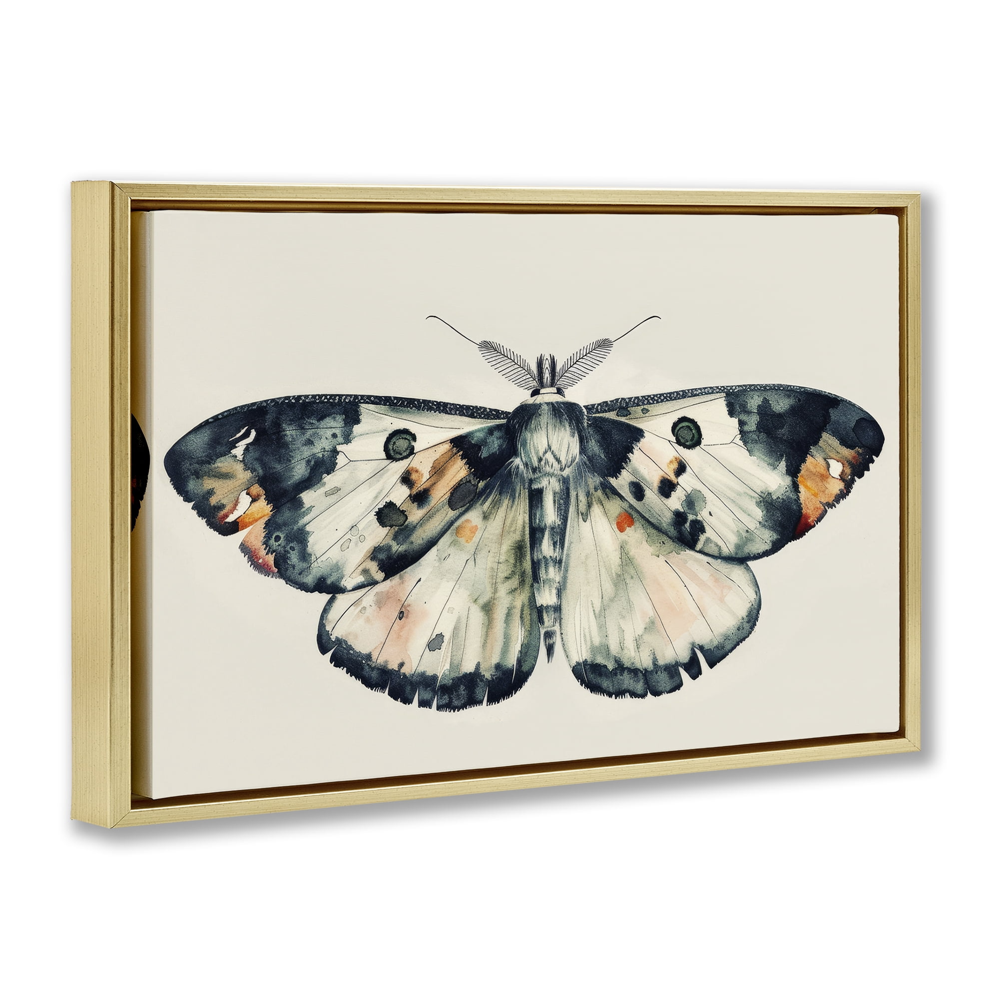 Stupell Industries Watercolor Black Trimmed Moth Animals Painting Gold Floater Framed Canvas Art Print Wall Art, 25 x 17
