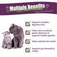 thumbnail image 3 of Amber NaturalZ Kitty DT Digestive Rescue for Cats | For Occasional Upset & Digestive Support 1oz, 3 of 7