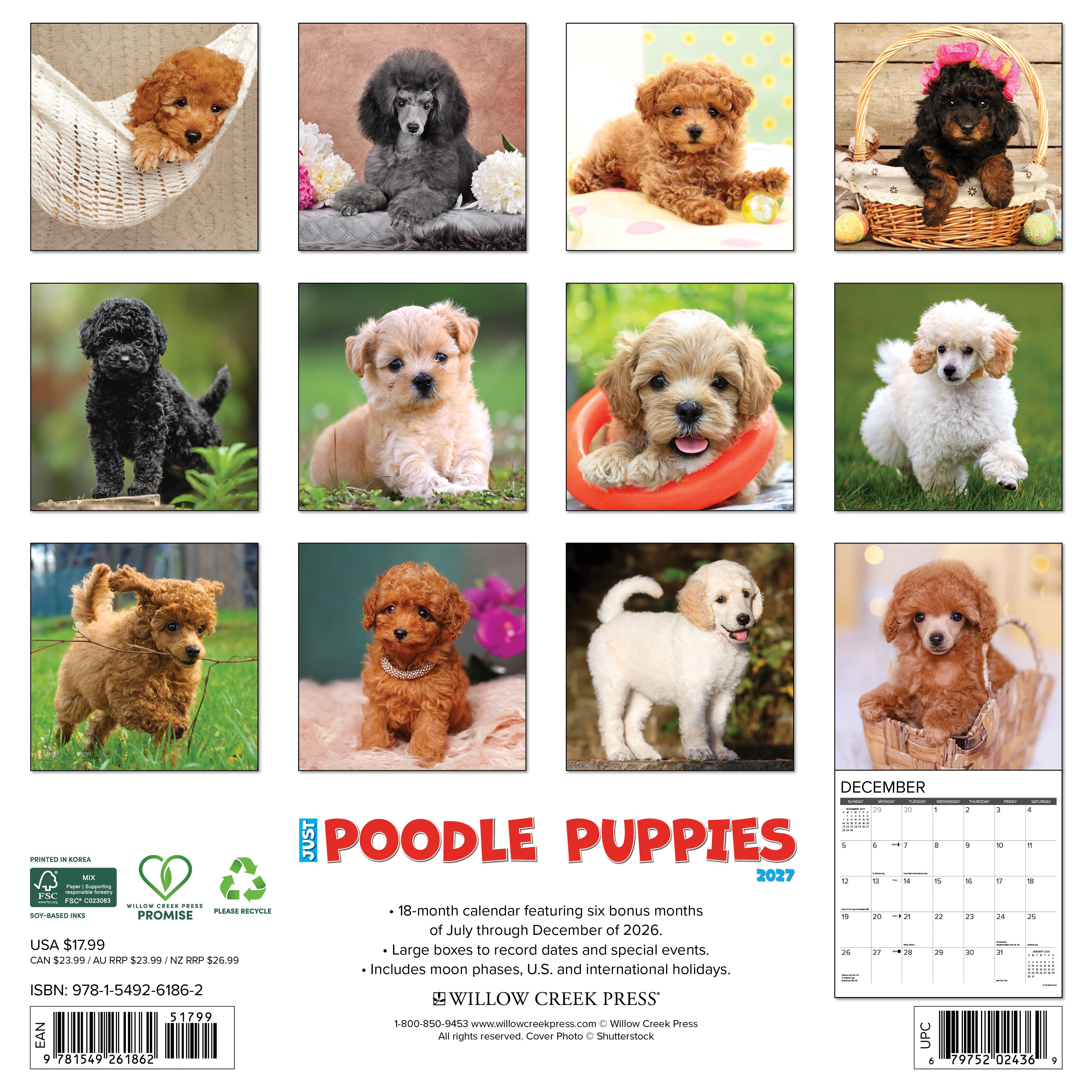 Willow Creek Press, Poodle Puppies 2027 Wall Calendar