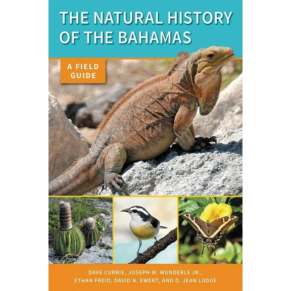 The Natural History of the Bahamas: A Field Guide, (Paperback)