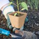 thumbnail image 4 of Nvzi Paquete de 100 macetas de turba cuadradas de 2,4 pulgadas para plántulas,macetas para trasplantar al aire libre para cultivar flores y vegetales, germinación de 4 agujeros, 4 of 5