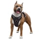thumbnail image 5 of Truelove Pet Dog Harness Breathable Mesh Padded Outdoor Sport No Pull Vest Adjustable Harness For Medium Large Dog Accessories, 5 of 5