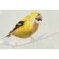 thumbnail image 3 of Butcher, Sarah 14x11 Black Modern Framed Museum Art Print Titled - Goldfinch, 3 of 5