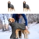 thumbnail image 5 of Greeniant Albornoz para perro hecho de algodón, toalla, chaleco para mascota no tóxico e inodoro, abrigo, ropa para perro, agradable a la piel Ropa para mascotas Púrpura METRO, 5 of 6