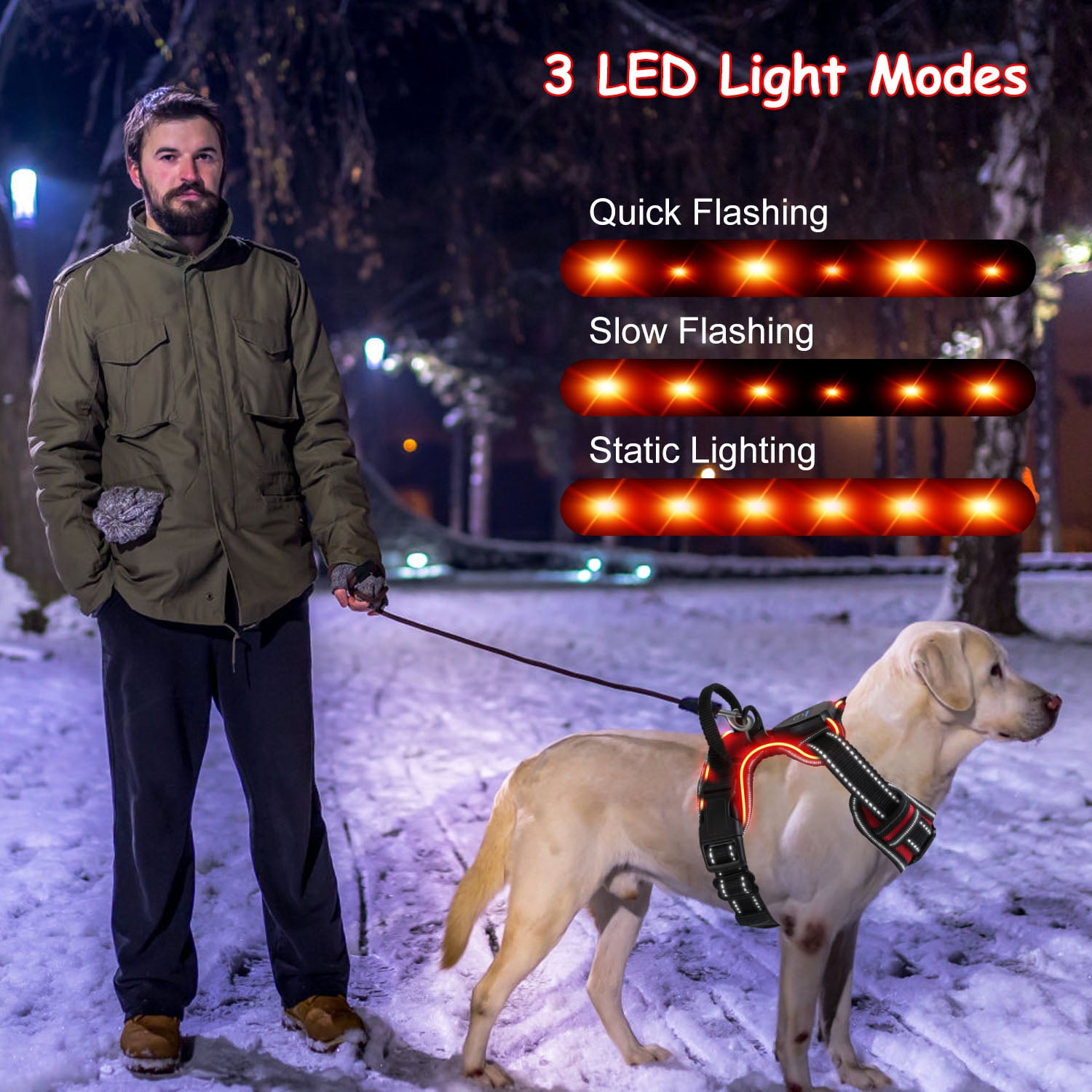 iMounTEK LED Dog Harness No Pull Rechargeable Light Up Pet Vest Harness, Green, M