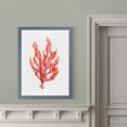 thumbnail image 4 of Wexford Home Coral Kelp I-Framed - Grey - 22X30, 4 of 4