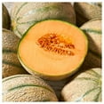 thumbnail image 2 of Everwilde Farms - 1 oz Planters Jumbo Melon Seeds - Gold Vault Bulk Seed Packet, 2 of 3