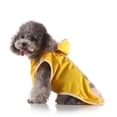thumbnail image 6 of Waterproof Dog Rain Jacket - Wind-proof, Wear-Resistant - Contrasting Colors - Hooded Reflective Polyester - Ideal for Travel, 6 of 8