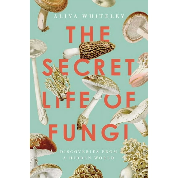 The Secret Life of Fungi : Discoveries From a Hidden World (Paperback)