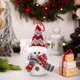 thumbnail image 4 of Seyotauo Christmas Light Up Gnome Tabletop Decoration, Polyester Lighted Santa Snowman Reindeer Figurine, Figurine Decor for Party Home Office Xmas Ornaments Christmas Tree Decor, 4 of 6