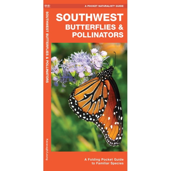 Southwest Butterflies & Pollinators : A Folding Pocket Guide to Familiar Species (Other)