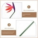 thumbnail image 2 of 4 piezas de flores artificiales decorativas, flores tropicales de imitación, plantas grandes y elegantes para decoración., 2 of 8