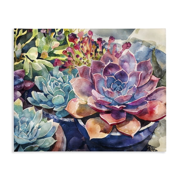 Stupell Industries Bohemian Sun Kissed Succulents Canvas Art, 20 x 16, by Svetlana Aleynikova