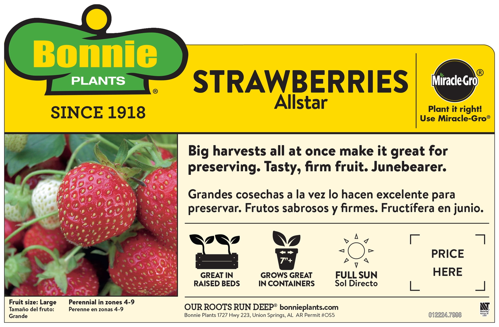 Bonnie Plants Allstar Strawberry 19.3 oz. 2-pack