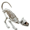 thumbnail image 7 of Opvise Halloween Decoration Realistic Looking Decorative Enhance Atmosphere Cat Skeleton Halloween Ornament for Home Beige, 7 of 7
