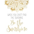 thumbnail image 2 of Kimberly, Allen 12x14 Black Ornate Wood Framed with Double Matting Museum Art Print Titled - Be The Sunshine, 2 of 4
