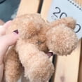 thumbnail image 2 of Funda de peluche con forma de oso pardo en 3D, bonita funda de dibujos animados de invierno para auriculares Air Pods, 2 of 3