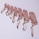 thumbnail image 5 of Bozales para perros y mascotas para cachorros, protección ambiental transpirable, cubierta para boca de perro para Anti-callbeige #3aespa oso de fresa  Hogar, 5 of 5