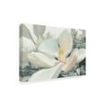 thumbnail image 2 of Trademark Fine Art 'Majestic Magnolia Green Gray Crop' Canvas Art by Julia Purinton, 2 of 3