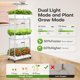 thumbnail image 4 of Kit de sistema de cultivo hidropónico para jardines interiores | Ahopegarden, 4 of 7