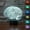 Mulitcolor, variant on Vikakiooze 3D Human Brain -Cerebellum Model Table Lamp 7 Color Changing Led Night Light Gift