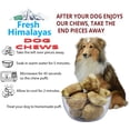 thumbnail image 3 of Snow Hill Himalayan Yak Cheese Dog Chews Best Fit Medium Dog Below 30 lbs, Long Lasting Odor Stain Gluten GMO Free Protein-Rich Yak Golden Cheese Bone Treat Improved Oral Health - Made In Nepal, 3 of 4