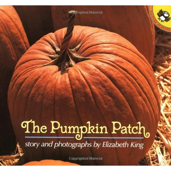 Pre-Owned The Pumpkin Patch (Picture Puffins) Paperback
