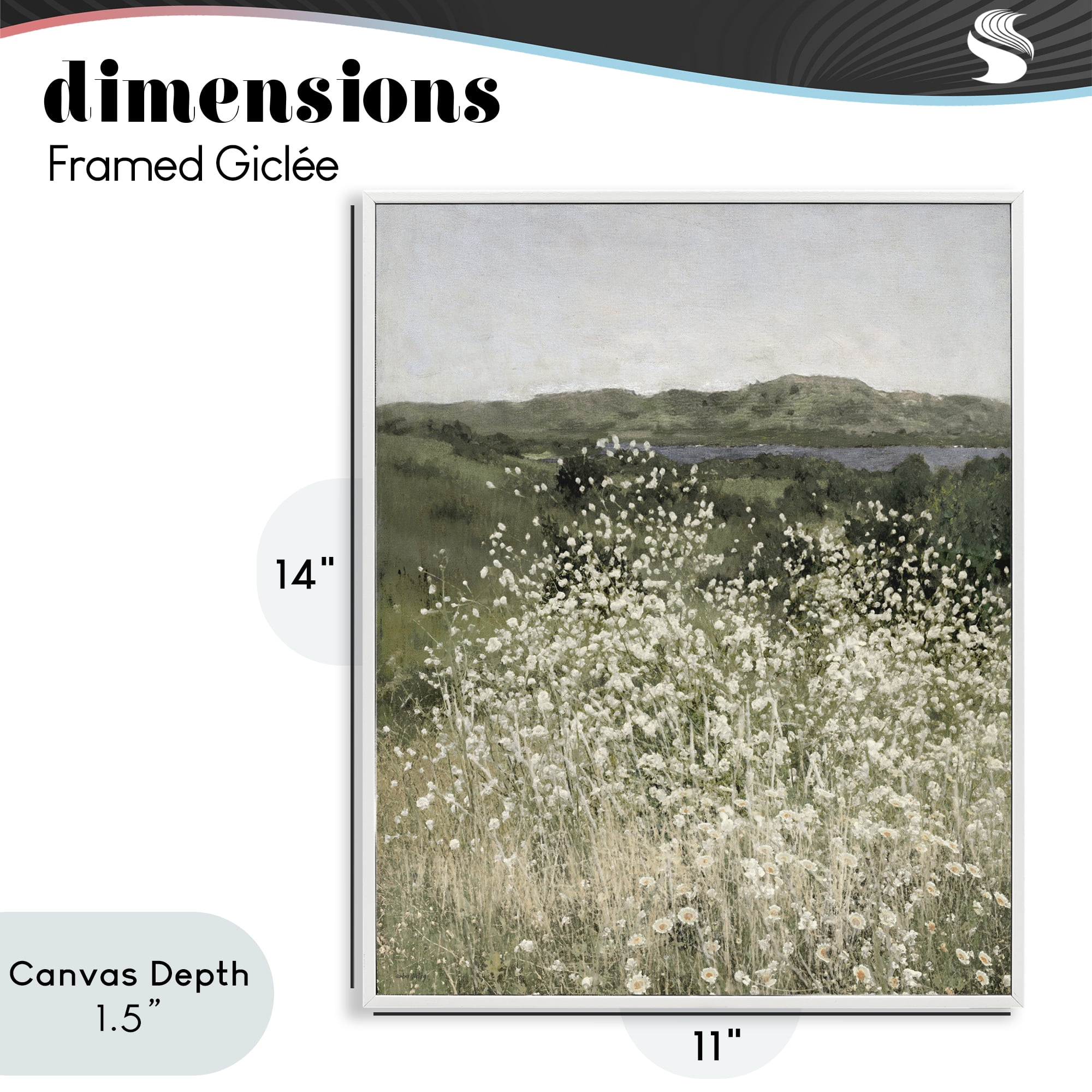 Stupell Industries Sunlit Meadow of White Daisies White Framed Giclee Art, design by Amber Sterling