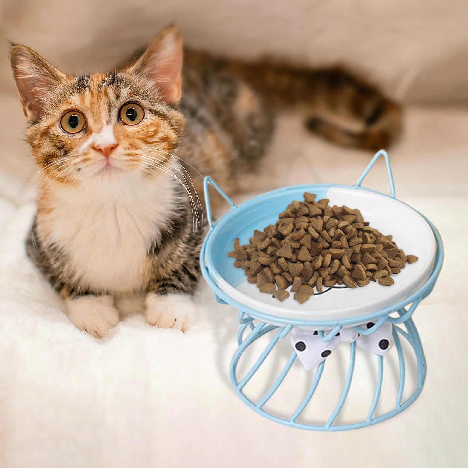 Fzaqwen Pet Ceramic Bowl Pet Bowl Cat Raised Elevated Feeder Cat Dog B Blue