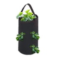 thumbnail image 3 of ZPSHYD Bolsa Ecológica para Cultivo De Fresas con Asas, Bolsa para Plantas De Tela Biodegradable, Jardinería para Patio, Balcón Y Terraza(A), 3 of 5