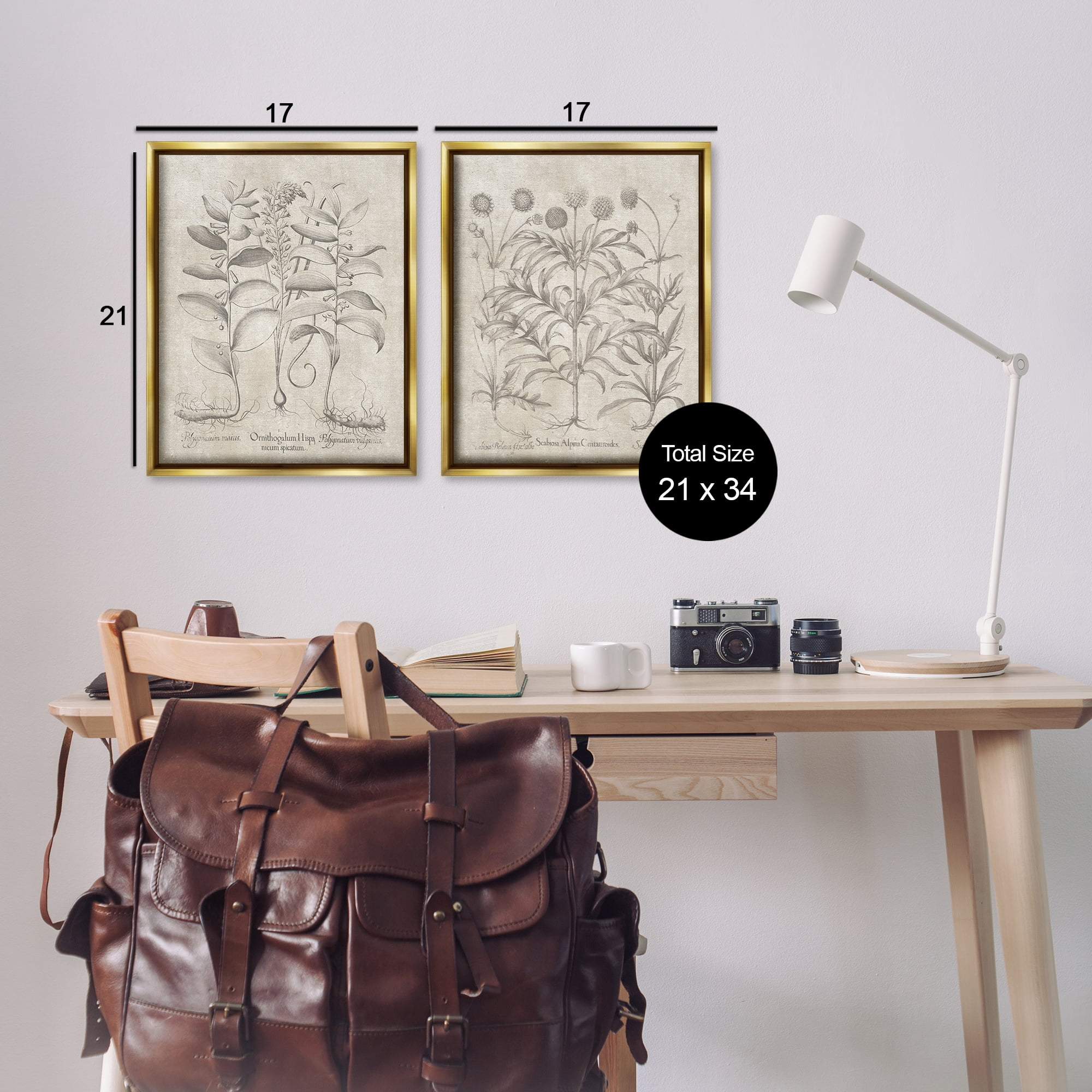 Stupell Industries Soft Botanical Study Plants & Flowers Painting Gold Floater Framed Canvas Art Print Wall Art, 17 x 21, Set of 2