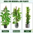 thumbnail image 5 of Moss Pole for Climbing Plants, 2 Pack 23.6 Inch Bendable Plant Support Stakes with Coco Coir & Jute Rope, Indoor Trellis for Monstera, Pothos, Philodendron Houseplants, 5 of 8