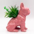 thumbnail image 3 of Pink French Bulldog Vase with Decorative Greens, 3 of 5