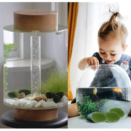 

14pcs Moss Balls Natural Decorative Green Globes Biofilter Removing Excess Ammonia Decorative Green Globes As a Decor Props for Home Party Weddings Display
