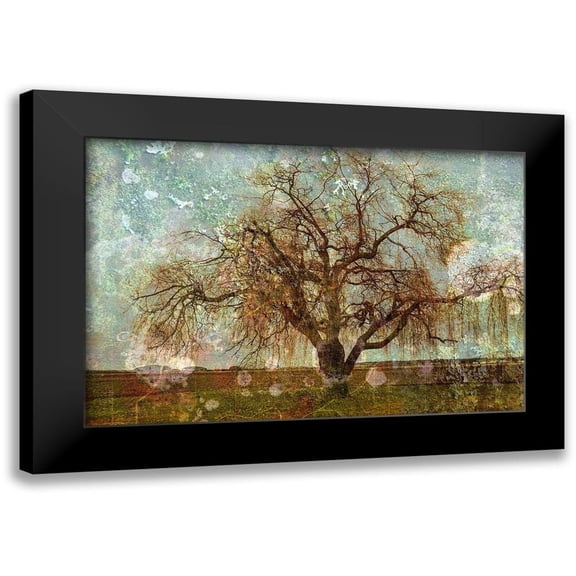 Ruest, Liz 14x11 Black Modern Framed Museum Art Print Titled - Roundabout