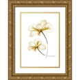 thumbnail image 1 of Artographie Studio 11x14 Gold Ornate Wood Framed with Double Matting Museum Art Print Titled - Pressed Flowers, 1 of 4