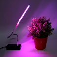 thumbnail image 1 of 1 unidad de lámpara LED USB para plantas, lámpara de crecimiento de espectro completo, luz para plantas de interior, verduras, flores, 1 of 6