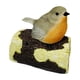 thumbnail image 1 of Estatua de pájaro, figura de pájaro de simulación, colección artesanal, adorno de pájaro LED pájaro marrón, 1 of 9