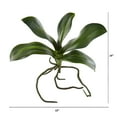 thumbnail image 2 of Nearly Natural 7" Phalaenopsis Orchid Leaf Artificial Flower (Set of 6), Green, 2 of 3