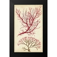 thumbnail image 2 of Turpin 12x18 Black Modern Framed Museum Art Print Titled - Turpin Seaweed V, 2 of 5