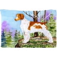 thumbnail image 1 of Carolines Treasures SS8663PILLOWCASE Setter Moisture Wicking Fabric Standard Pillowcase - 20 x 30 in., 1 of 2