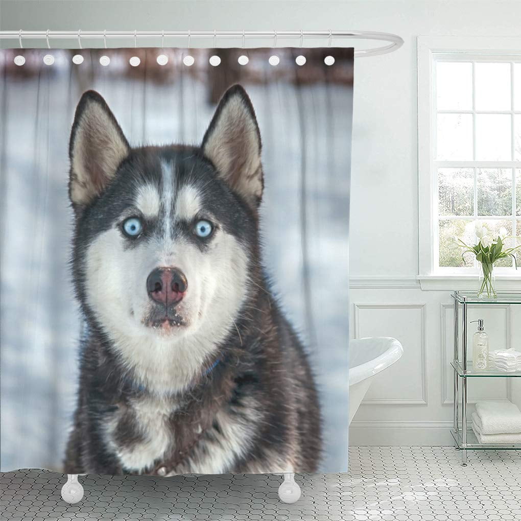 SUTTOM White Accuracy Portrait of Husky Dogs Activity Cold Shower
